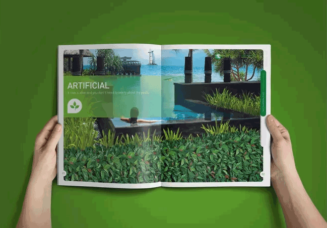 綠色主題畫冊  第3張