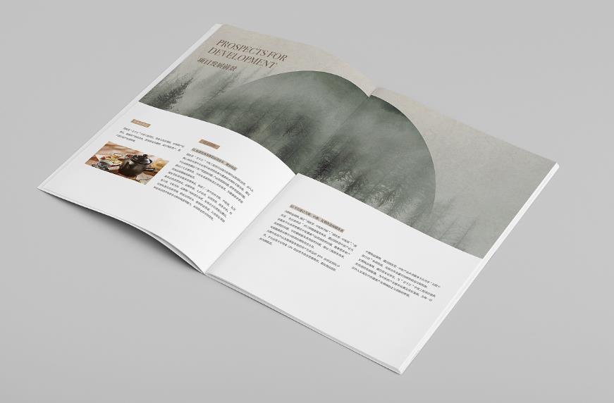 美食全套宣傳冊(cè)印刷設(shè)計(jì)方法技巧  第1張