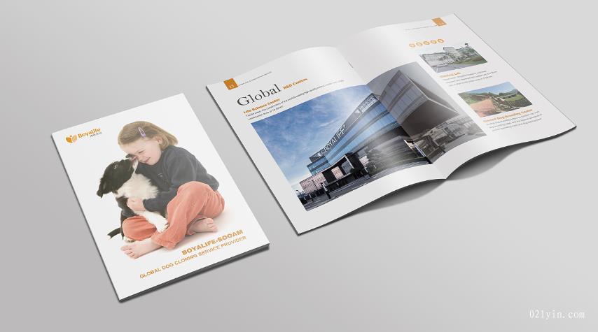 上海彩頁印刷時會碰到哪些常見問題？  第1張