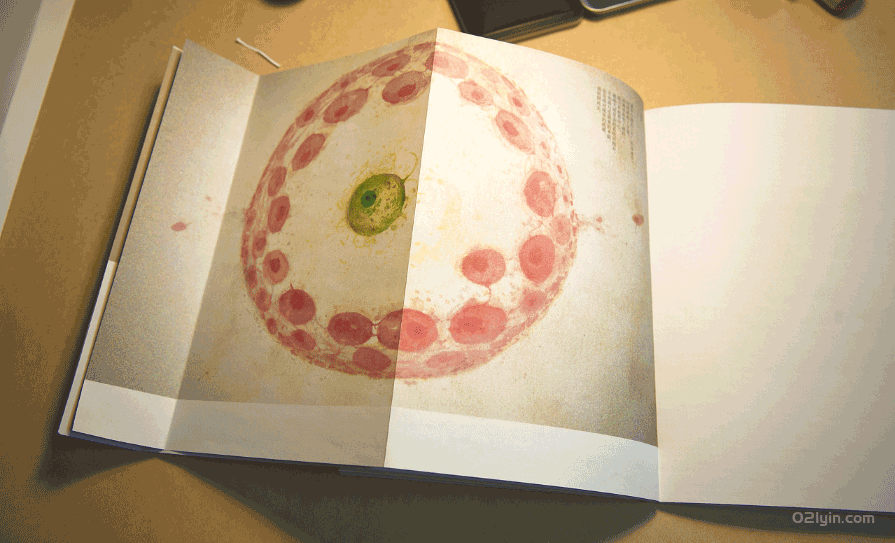 企業(yè)畫(huà)冊(cè)印刷