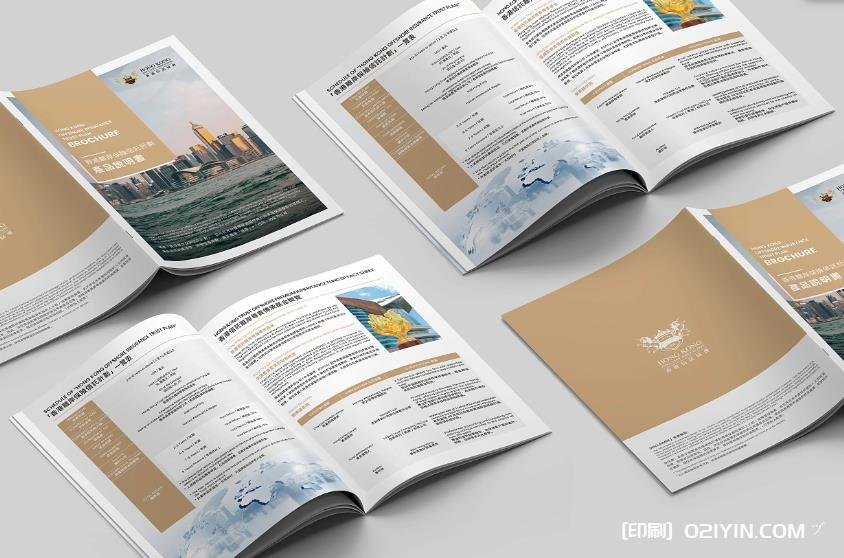 探尋上海寶山區企業畫冊印刷廠家的獨特魅力  第1張