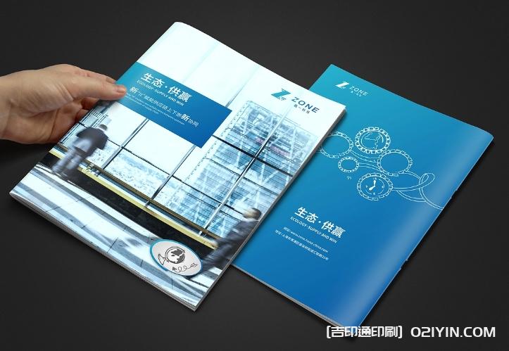 生態軟件IT供應鏈畫冊設計  第3張