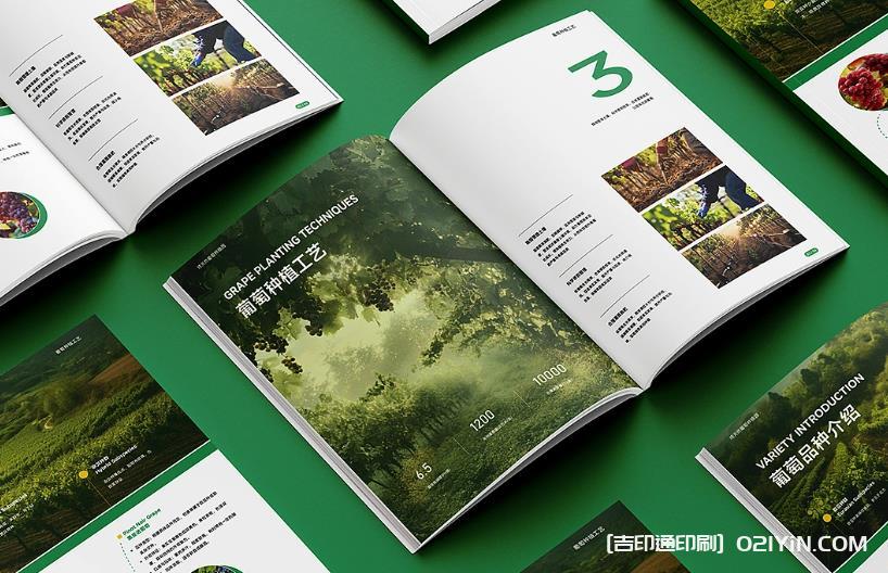 上海企業畫冊印刷專家：從設計到成品，一站式品質服務