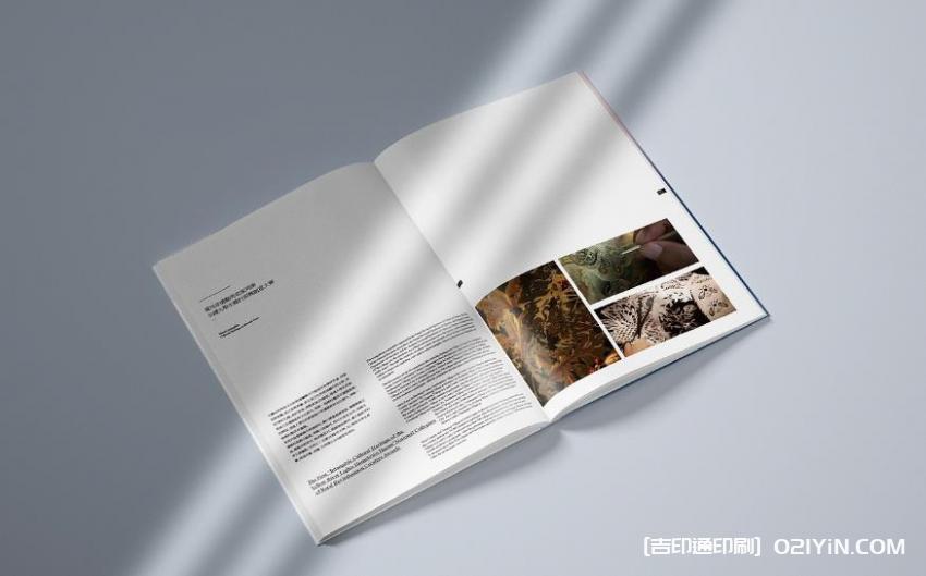 定制畫冊印刷 - 設(shè)計印刷  第2張