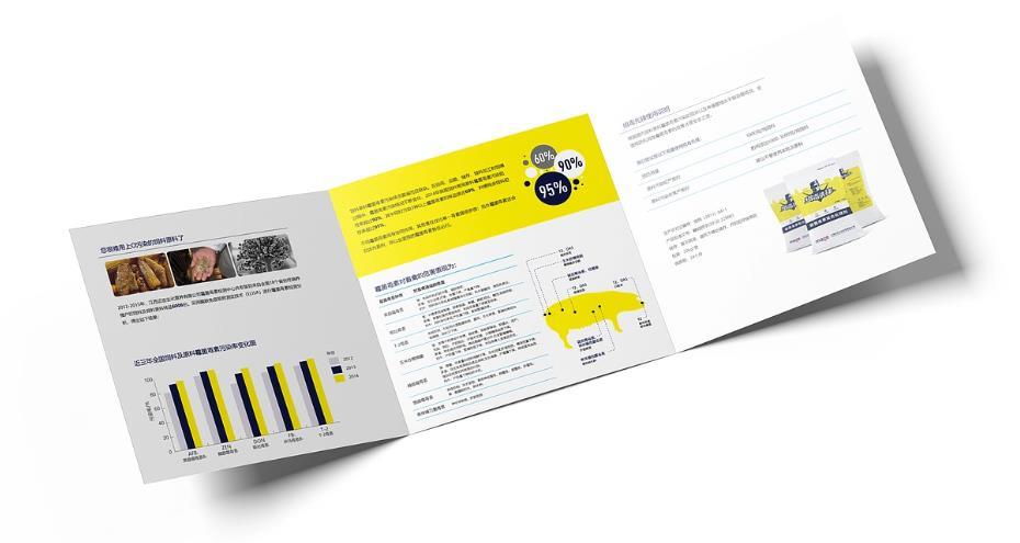 上海會展三折頁印刷 | 展會宣傳冊 | 現(xiàn)場物料支持