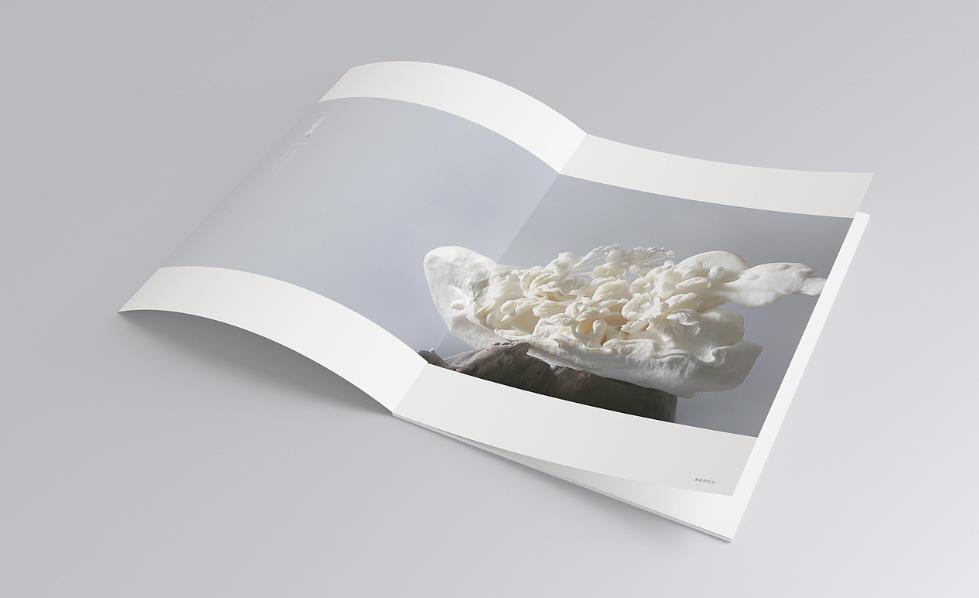 彩頁印刷常規(guī)尺寸有哪些？