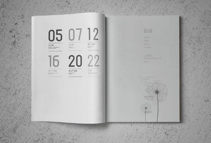 上海企業(yè)簡介定制印刷，按需設(shè)計，貼合企業(yè)個性化需求