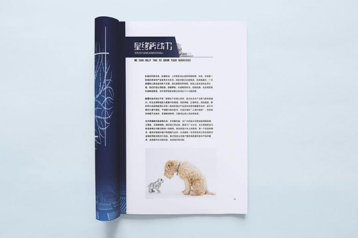 上海寶山區(qū)畫冊印刷適用場景大盤點